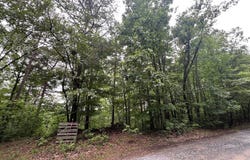 198 Log Round Mountain Trail, Ellijay, GA 30540