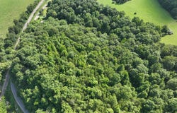 0 Highway 90, Clairfield, TN 37715