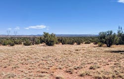 Lot 44 Ranch Of The White Mountains, Concho, AZ 85924