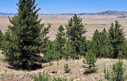 550 WOROKA TRAIL, Hartsel, CO 80449