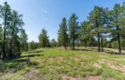 TBD Elk Run Road, Hot Springs, SD 57747