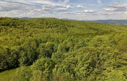 Rabbit Run, Fayston, VT 05673