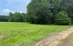 CR 4130, Mount Vernon, TX 75457