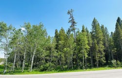 4498 Stone Run, Island Park, ID 83429
