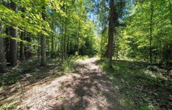 Leskovec Lane, Stephenson, WI 54114
