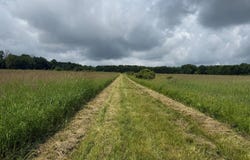 00 Silverthorn Rd, Edinboro, PA 16412