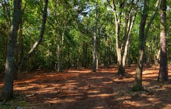 02 Guest Circle, Anderson, SC 29621