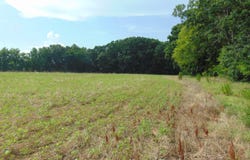 00 Epps Fork Road, Clarksville, VA 23927