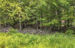 Tbd Boulder Brook Lot B14, Windham, NY 12496