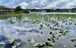 1638 PARADISE Lane, ASTOR, FL 32102