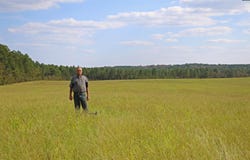 TBD Browns Pond Road, Wagener, SC 29164-0000