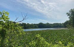 Garr Road, Berrien Springs, MI 49103