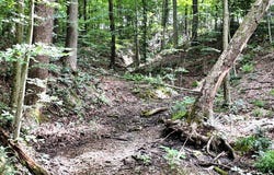TR 51 Township Road, Warsaw, OH 43844