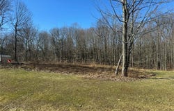 Buttonwood Lane, Ashtabula, OH 44004
