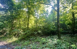 0 Meadowlark, Monticello, GA 31064
