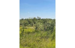912 O D Lane, Coleman, TX 76834