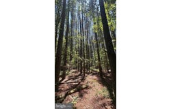2788 GREAT OAK Road, WARFIELD, VA 23889