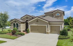 6904 EBB TIDE Avenue, APOLLO BEACH, FL 33572