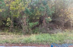 Martin Road, Rainbow City, AL 35906