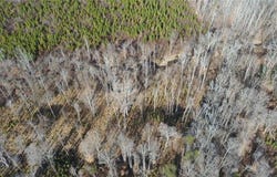 00 Williamson Creek Road, Ruffin, NC 27326