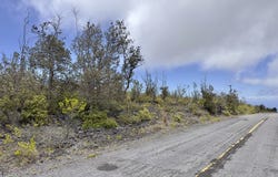 KOA LN, Ocean View, HI 96737