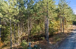 24 Cedar Tree Trail, Broken Bow, OK 74728