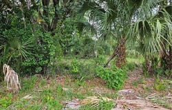 4360 E Nugget Pass Place, Dunnellon, FL 34434