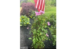 355 FISHEL ROAD, WINCHESTER, VA 22602