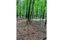 0 Teems Road, Ringgold, GA 30736