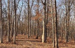Lot 1 Klausmeier Trails, Wright City, MO 63390