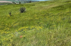 Tbd Lenville Road, Moscow, ID 83843