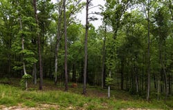 39 CAMPFIRE Way, Double Springs, AL 35553