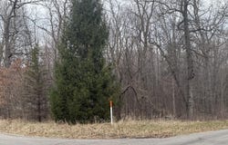 0 Budd Rd, Stockbridge, MI 49285