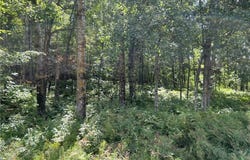 Tollander Rd, Siren, WI 54872
