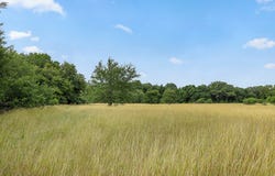 TBD Jurecka Road, Fayetteville, TX 78940