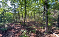 50405 W 31st Street S, Oilton, OK 74030
