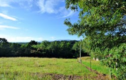 Lot 13f Sunnydale Circle, Dandridge, TN 37725