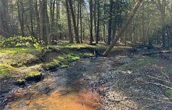 00 Oregon Road, Butternuts, NY 13776