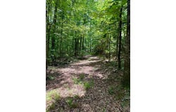 454 County Road 211, Carrollton, MS 38917