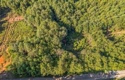 307 RC Road, Traphill, NC 28685