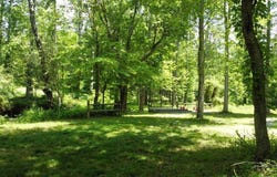 Tract 1 Timber Ridge Road, Blairsville, GA 30512