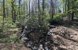 TBD (B) Browning Branch Rd, Waynesville, NC 28786