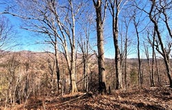 Vilas Overlook Drive, Vilas, NC 28692