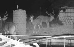 3180 CR 551, Rocksprings, TX 78880