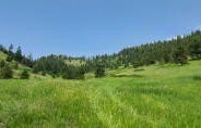 TBD GOLD HILL LOT A RD, KETTLE FALLS, WA 99141