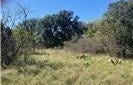 Tbd CR-188, Cross Plains, TX 76443