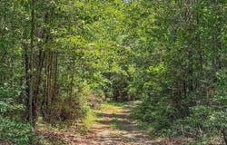 4154 Hwy 131, Clayton, AL 36016