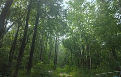 4820 DANVILLE ROAD, BRANDYWINE, MD 20613