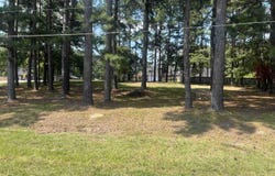 Michael Ann, White Hall, AR 71602