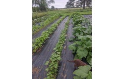 837 County Road 340, West Plains, MO 65775